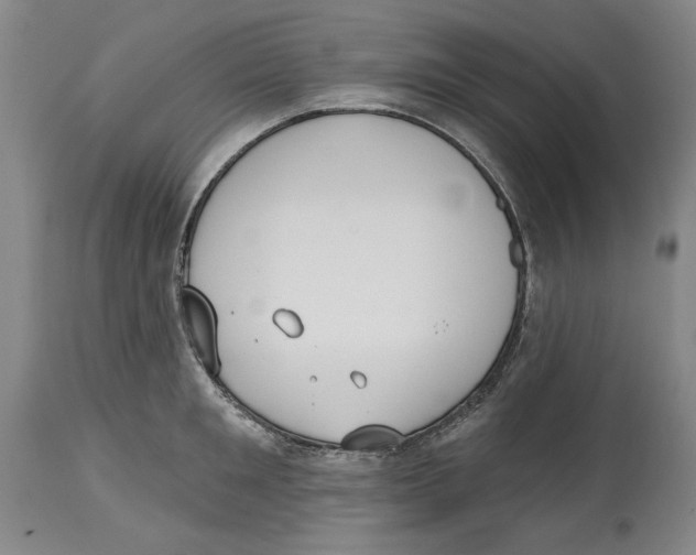 X0000114570901200911161244