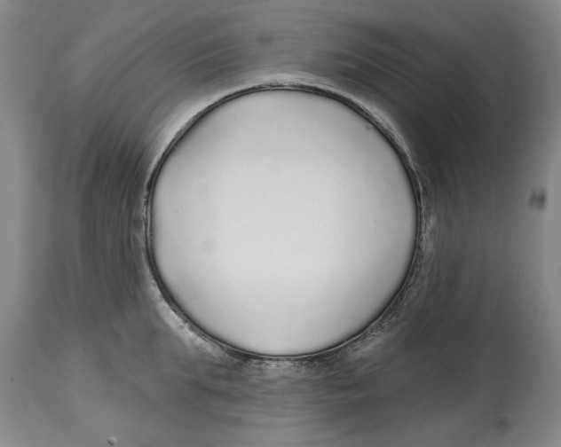 X0000114570903200911161244