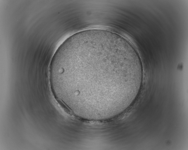 X0000114570907200911161243