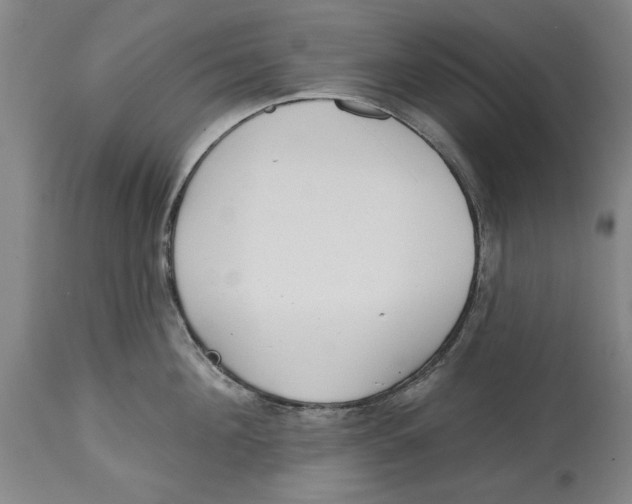 X0000114570908200911161243