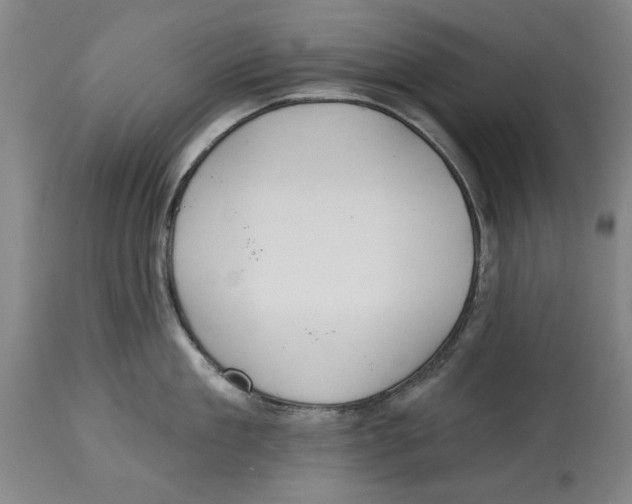 X0000114570909200911161243