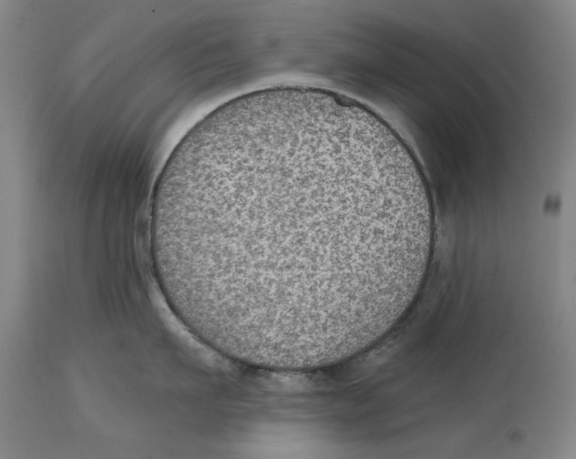 X0000114570911200911161243