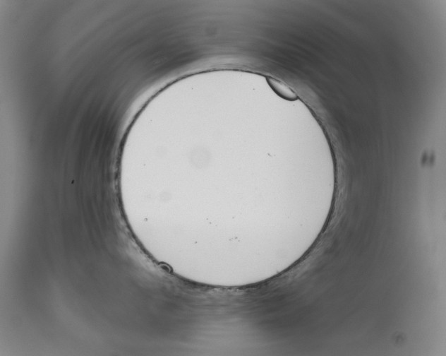 X0000114570912200911161243