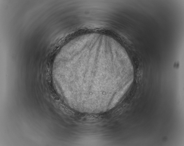 X0000114570917200911161243