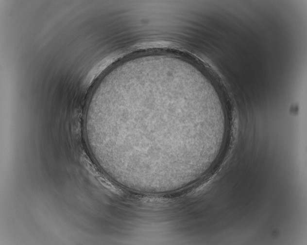 X0000114570921200911161243