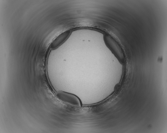 X0000114570930200911161243