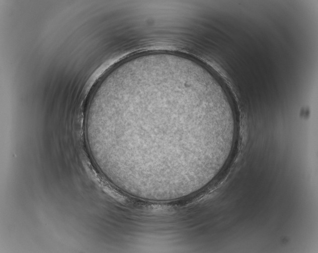 X0000114570933200911161243