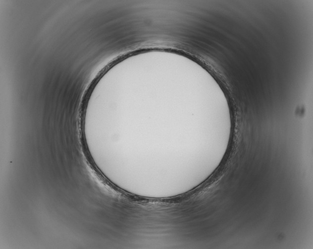 X0000114570942200911161243