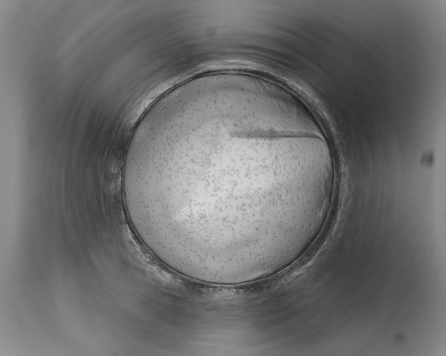 X0000114570945200911161243