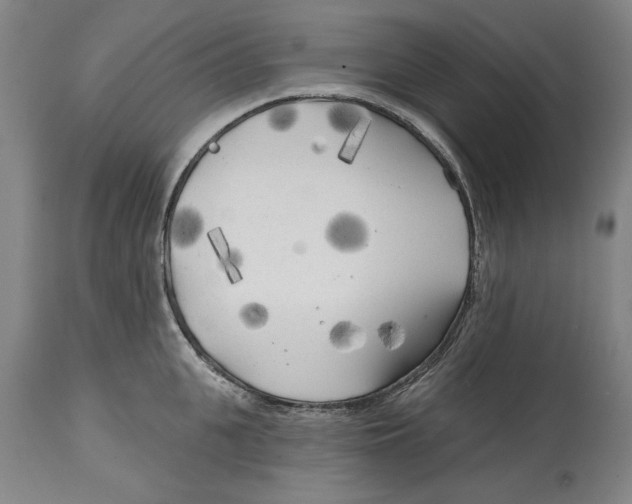 X0000114570951200911161243