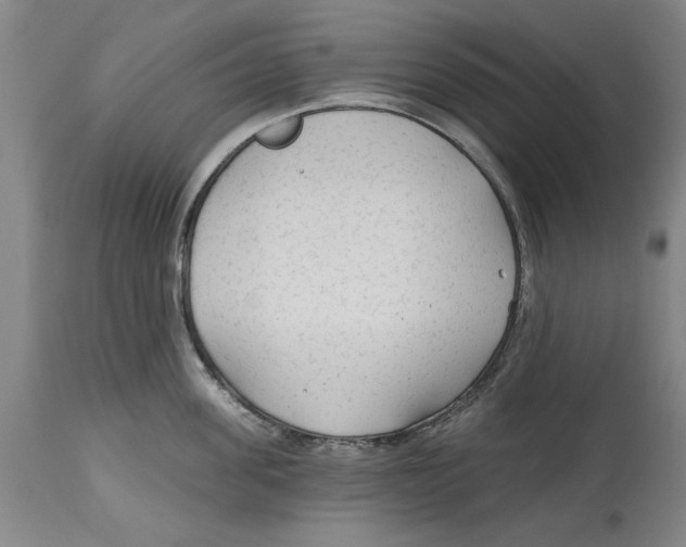 X0000114570955200911161243