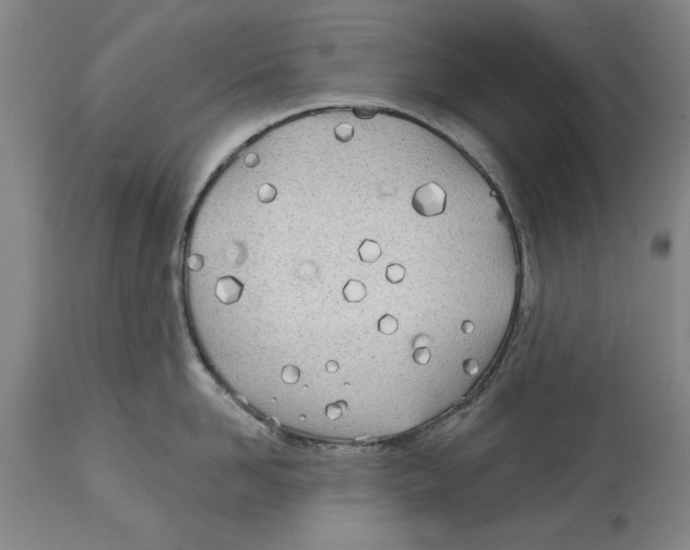 X0000114570958200911161243