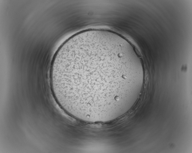 X0000114570959200911161243