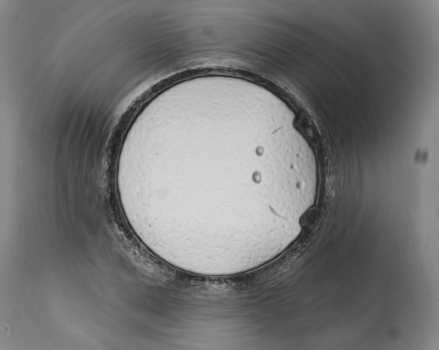 X0000114570975200911161243