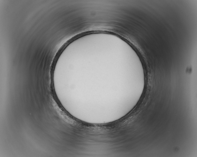 X0000114570980200911161242