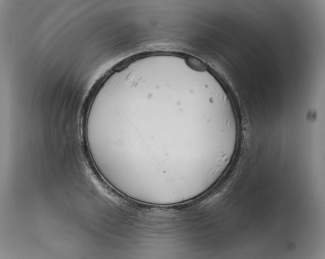 X0000114570981200911161242