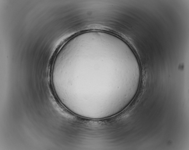 X0000114570987200911161242