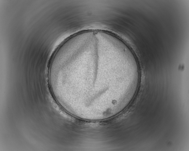 X0000114570990200911161242