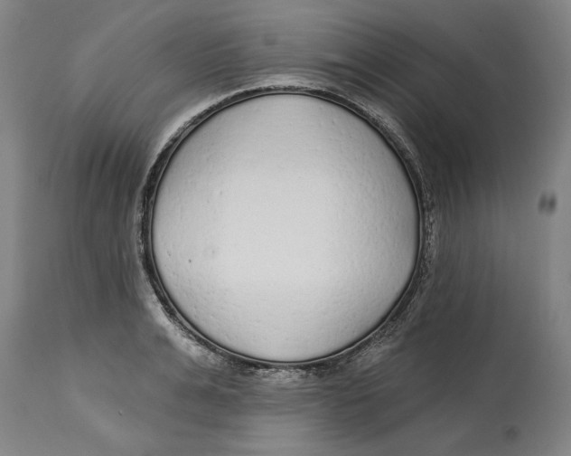 X0000114570991200911161242