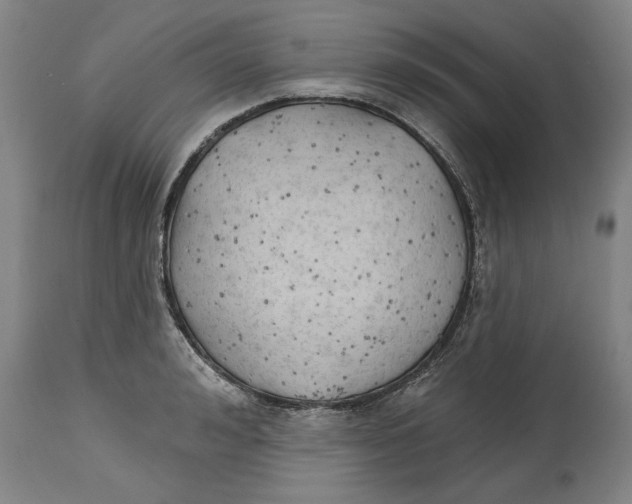 X0000114570992200911161242