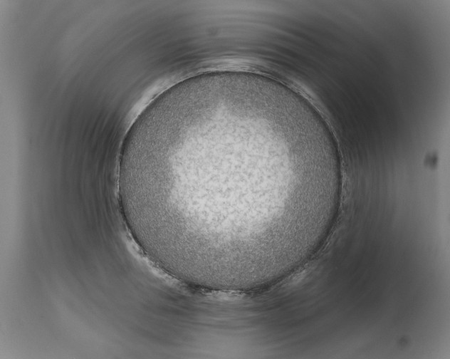 X0000114570994200911161242