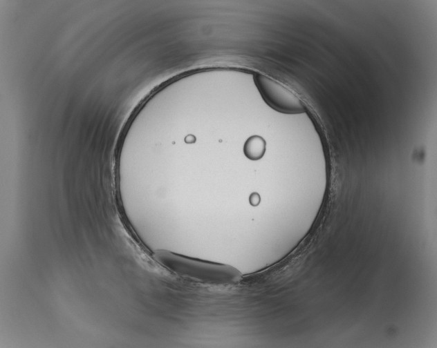 X0000114570996200911161242