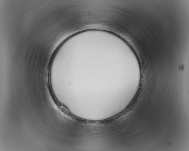 X0000114570999200911161242