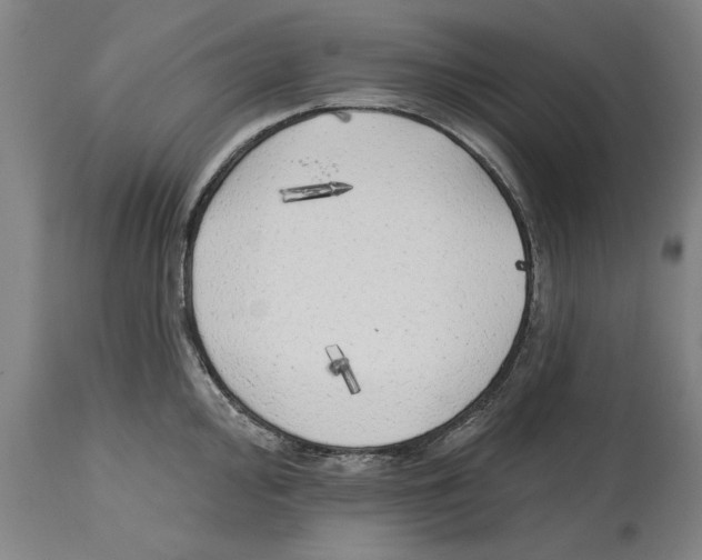 X0000114571000200911161242