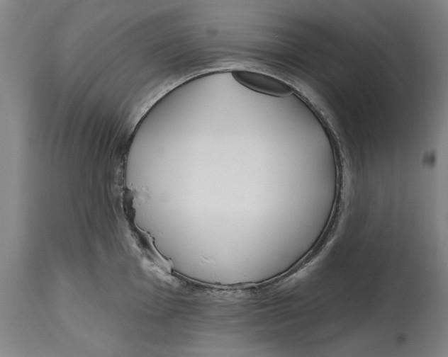 X0000114571001200911161242