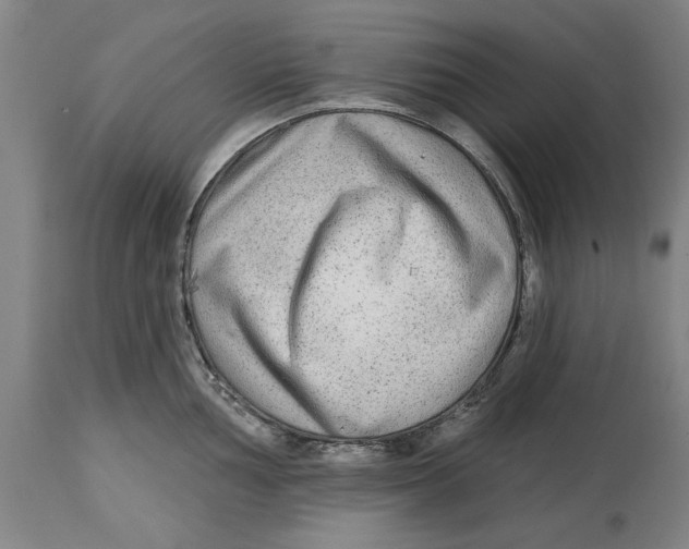 X0000114571002200911161242