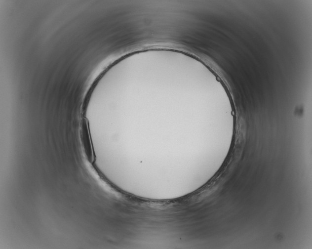 X0000114571005200911161242