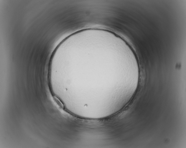 X0000114571007200911161242