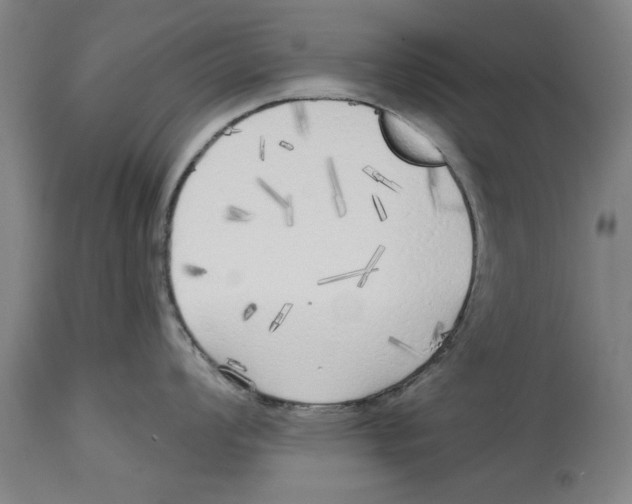 X0000114571008200911161242