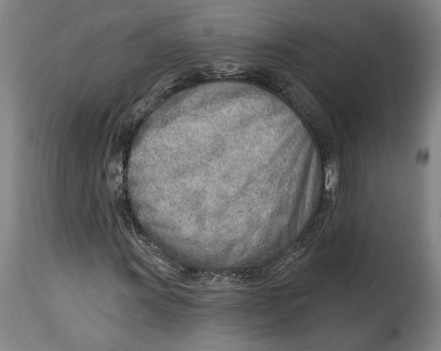 X0000114571011200911161241