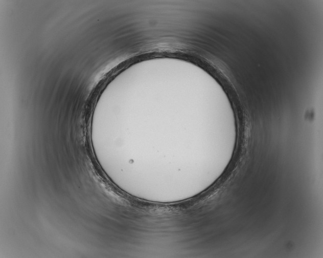 X0000114571018200911161242