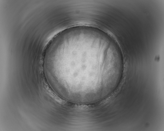 X0000114571019200911161242