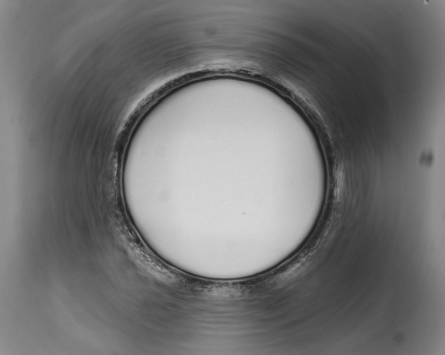 X0000114571021200911161242