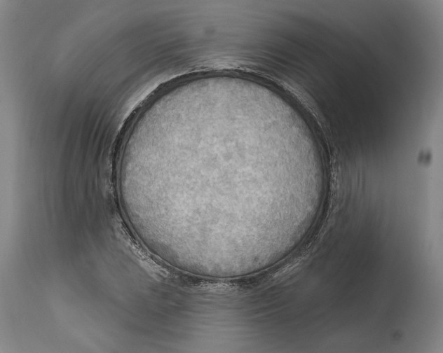 X0000114571023200911161242