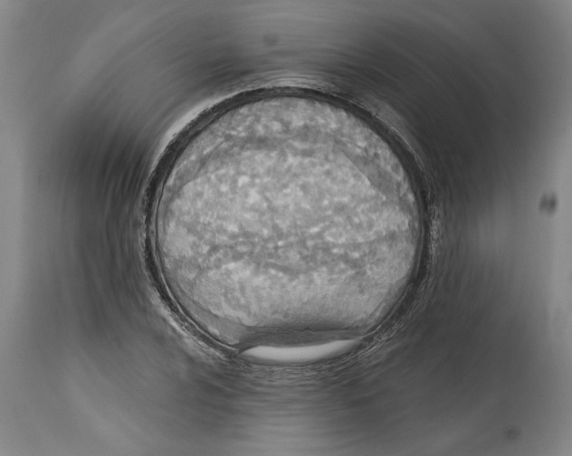 X0000114571024200911161242