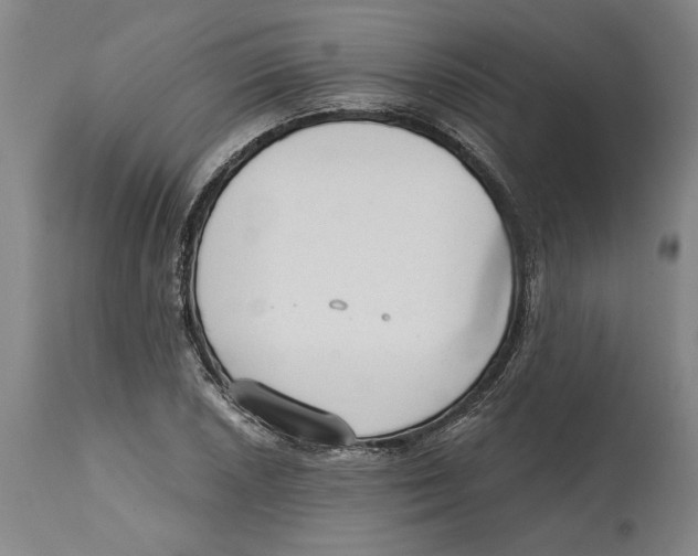 X0000114571026200911161242