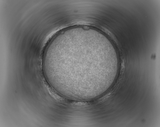 X0000114571027200911161242