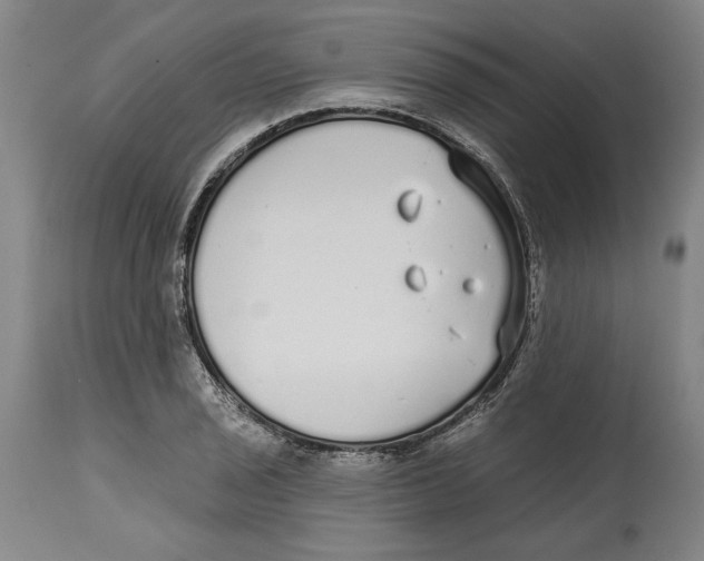 X0000114571029200911161242