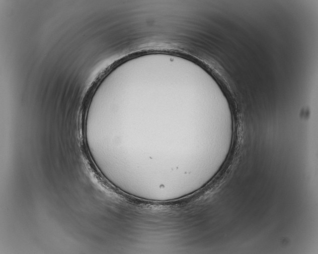 X0000114571030200911161242