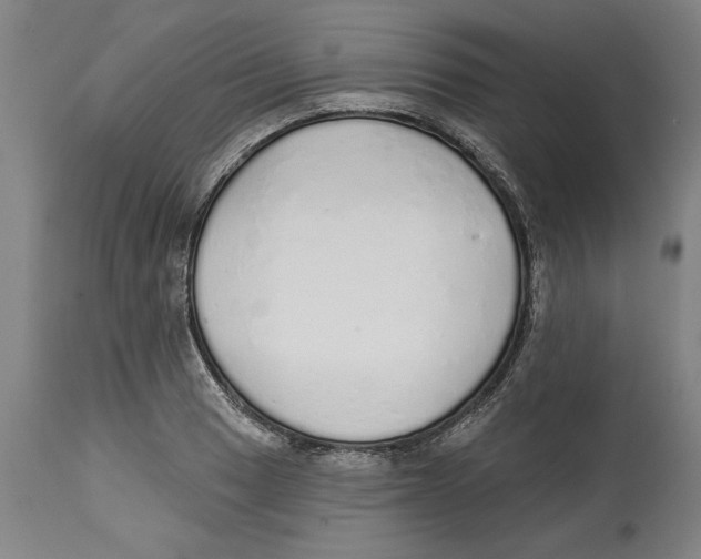 X0000114571033200911161242