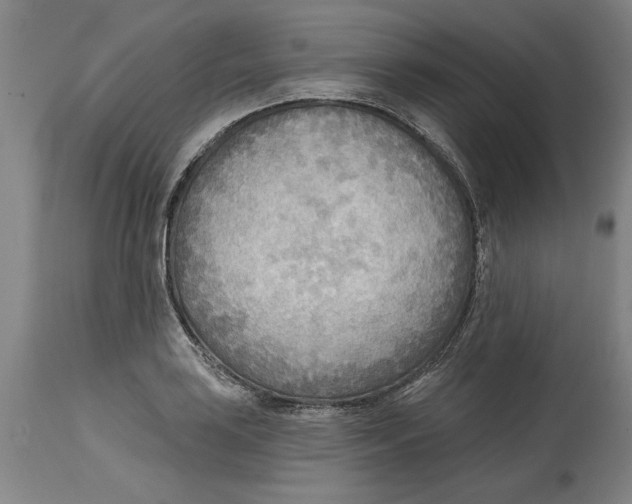 X0000114571035200911161242