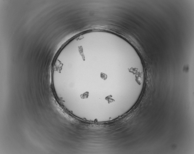 X0000114571036200911161242