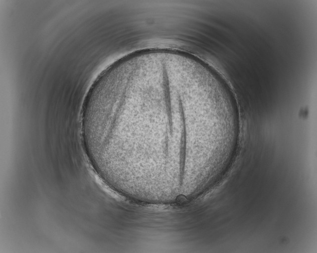 X0000114571037200911161242