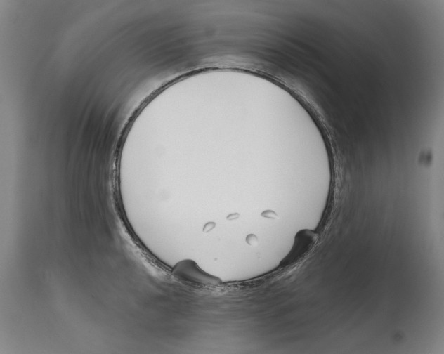 X0000114571040200911161242