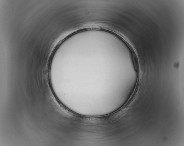 X0000114571045200911161242