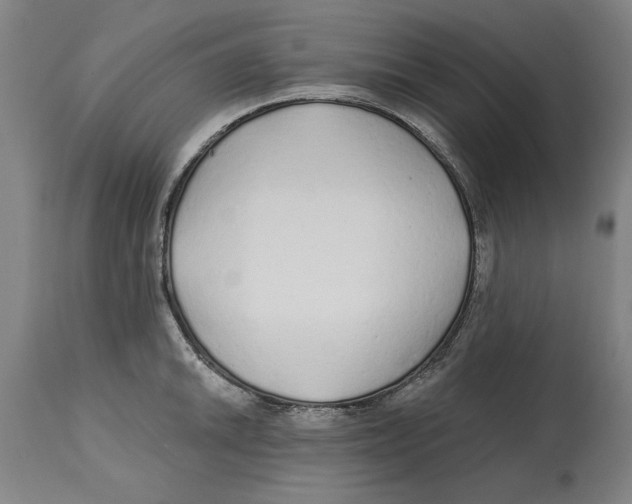 X0000114571046200911161242